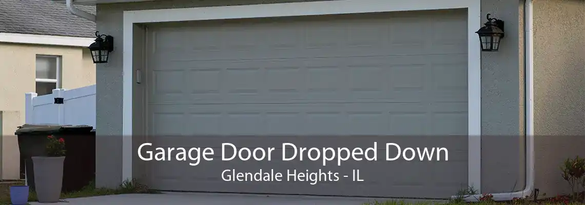 Garage Door Dropped Down Glendale Heights - IL