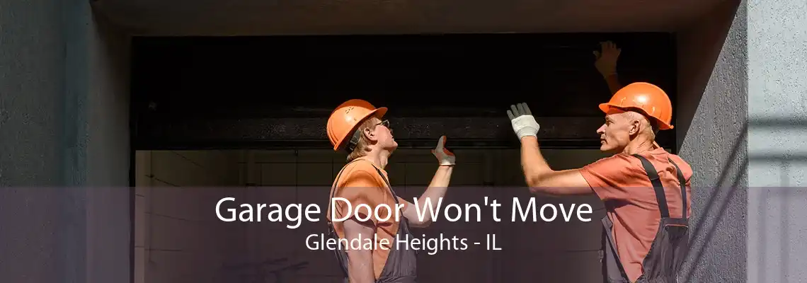 Garage Door Won't Move Glendale Heights - IL