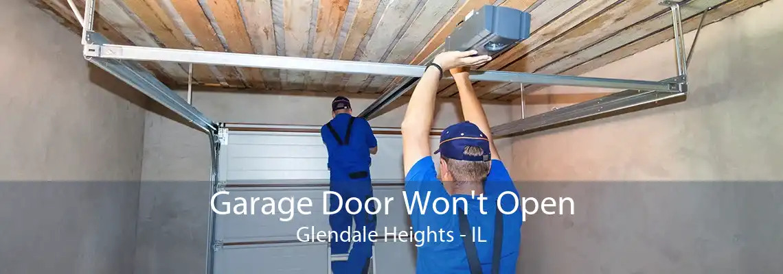 Garage Door Won't Open Glendale Heights - IL